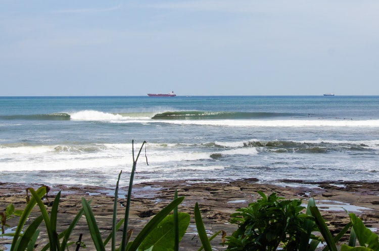 adobestock-272184938